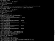 iSCSI boot in action (bottom)