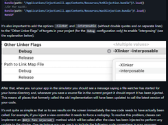 InjectionIII Screenshot 1