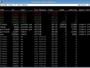 InnoDB Transactions mode, showing color highlighting.