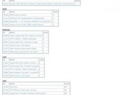 Top Ten Vulnerabilities