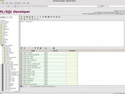 iPL/SQL Developer V1.1.0.0718