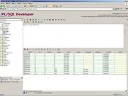 iPL/SQL Developer V1.1.1.1218_1