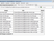 HTML Report