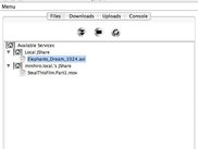 Shared files tab
