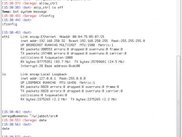 filter simbols from terminal, work with shell