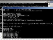 JavaLightServer 0.3.1 on Windows XP - Client/Server view