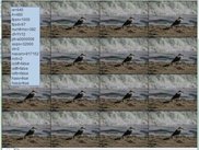 JaviSynthViewer_stack_vertical_horizontal