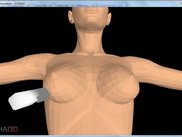 Core Biopsy Simulation