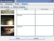 Detail window, Tab with the pictures