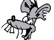 Jerbil Logo