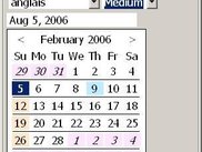 SWT Calendar (english, day view)