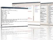 jlidegw (rxvt), Pidgin, Xchat