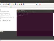 program running