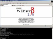 The web server up and running.