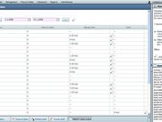 data grid (table)