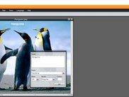 Create graphics to use in website
