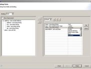 Customize form fields and UI controls
