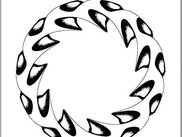 Zoom of an Iterated Function System.