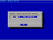 Installer - choosing disk