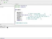 linking to external libraries (ncurses in this example)