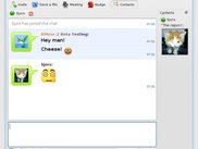 Chat window
