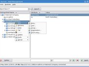 LDAP management