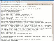 NMAP scan of the target