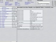 What you get after doing an ldap search.