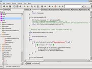 Main window showing the project browser