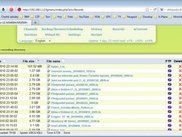 All files in record directory