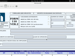 Impresión Preliminar de formularios electrónicos.