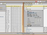 New dir and chmod