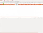 Torrents window