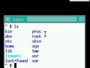 Linwizard running kdrive (xserver) and twm (wm).