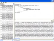 Xml XSLT Screen (second tab)