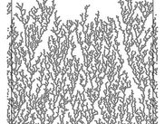 xtalgrowth: "seaweed" made by xtalgrowth -c 1 -d 0.01