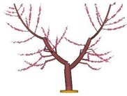 Perpendicular V pruning