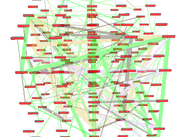 delegation graph