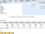 An Example Object - A Transaction and linked records