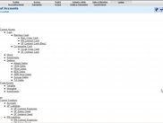 Example Report - A Chart of Accounts