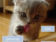 Main menu of the program. Selection/addition of dictionary.