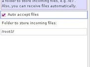 File transfer settings