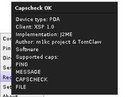 Client capabilities