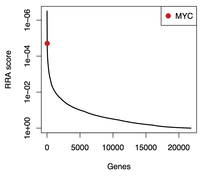 The score of the MYC gene among the scores of all genes