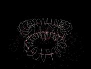 Two opposing toroidal spirals with trapped inner particles.