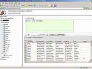 Query Tool