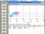Project Milestones