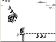Donkey Kong Land 3