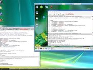 win and linux together