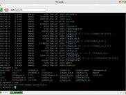 multi tabbed telnet client